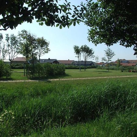 Friedrichskoog-Deichblick 1 Villa Kültér fotó